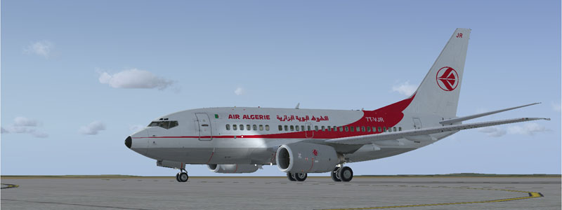 A picture of PMDG's B737-600