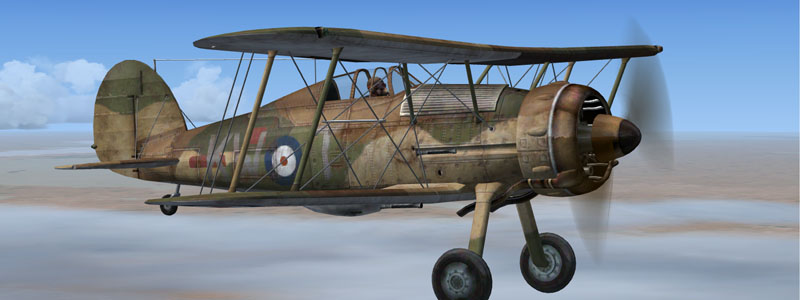 Icarus Gold's Gloster Gladiator